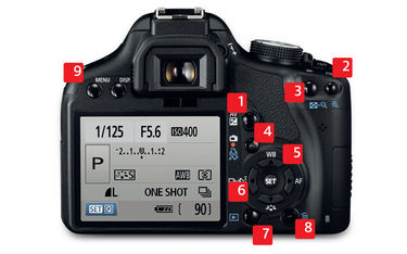 Maximização do Potencial do Seu Equipamento Fotográfico