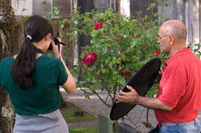 Particulares e Personalizadas