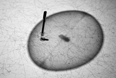 Fotografia Minimalista: A Elegância da Simplicidade